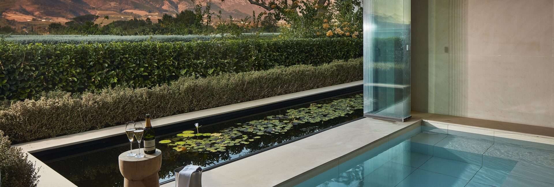 Leeu Estates - Spa - plunge pool