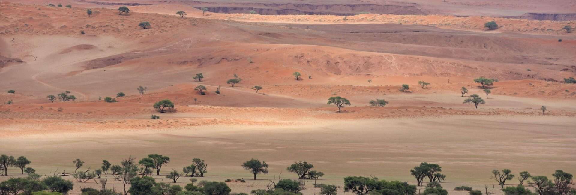 Gondwana Desert Whisper Gondwana Namib Desert Nature Park_1