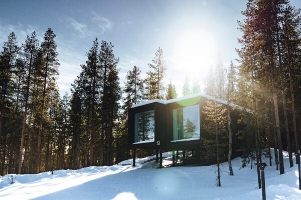 Arctic TreeHouse Hotel Executive Suite