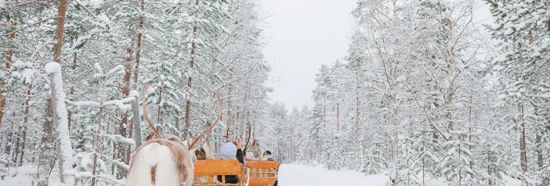 Arctic TreeHouse Hotel Experience