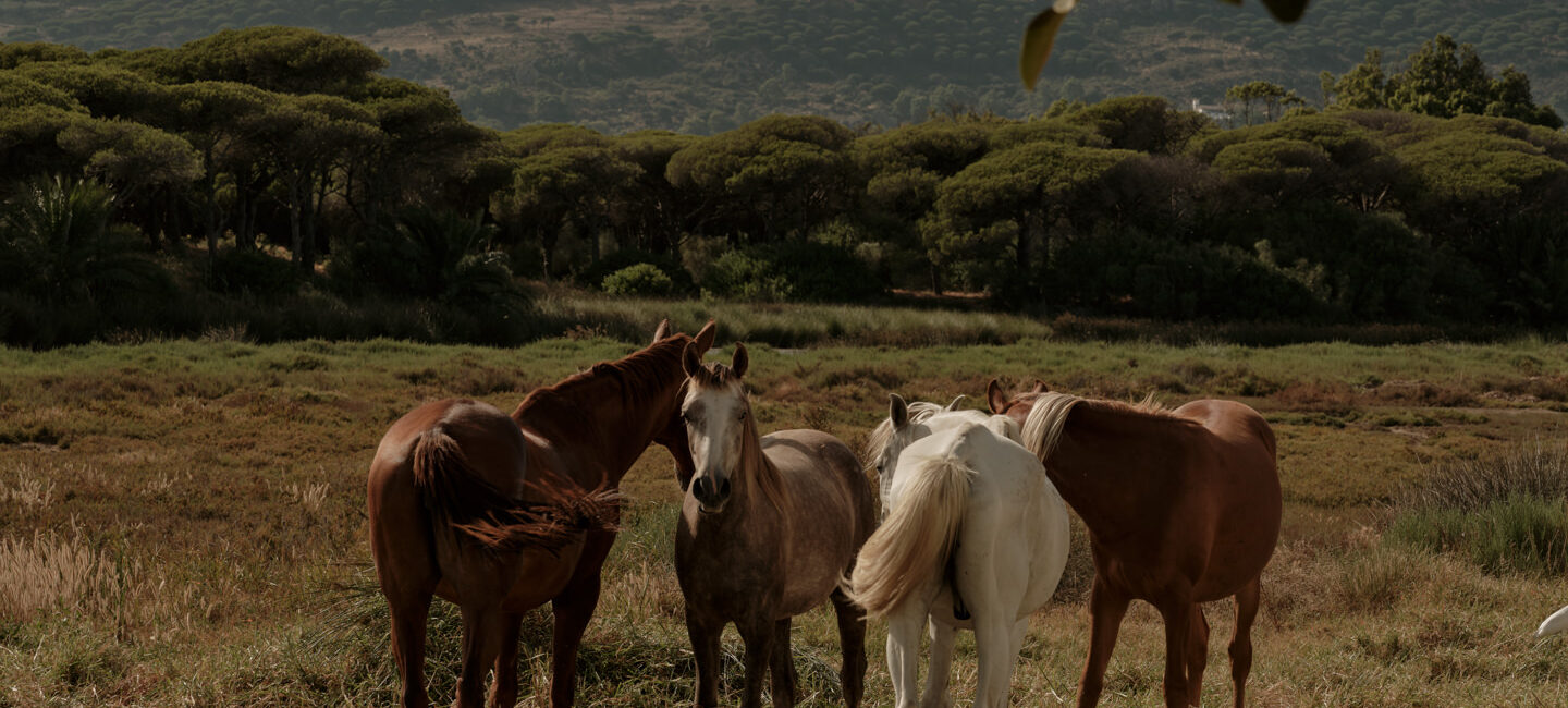 OKU-Andalusia_Destination_ 62_LowRes